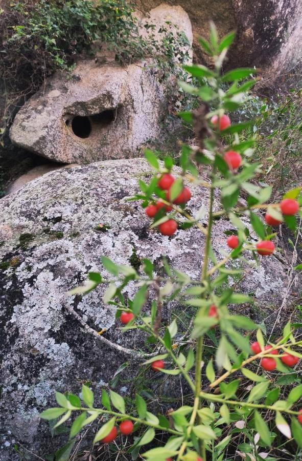 Su SKUSORGIU Apartment Tortoli Bagian luar foto